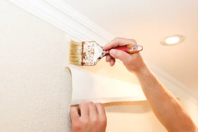 Pose de papier peint à Eugénie-les-Bains — revêtements muraux et toiles de verre
